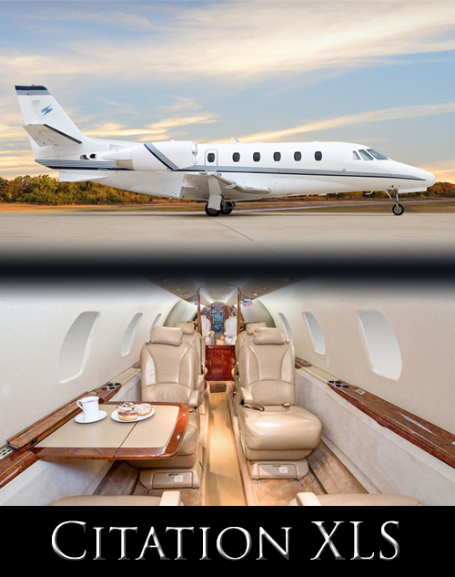 Citation XLS